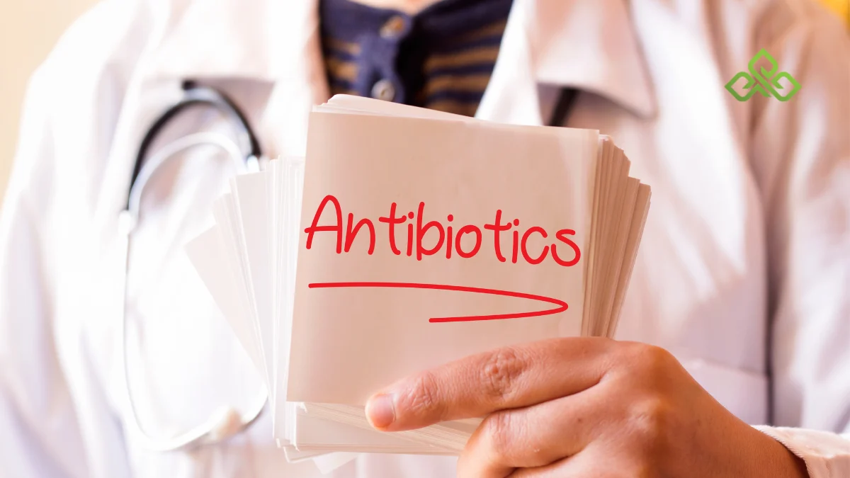 Weed and Antibiotics: Which Ones Actually Interact