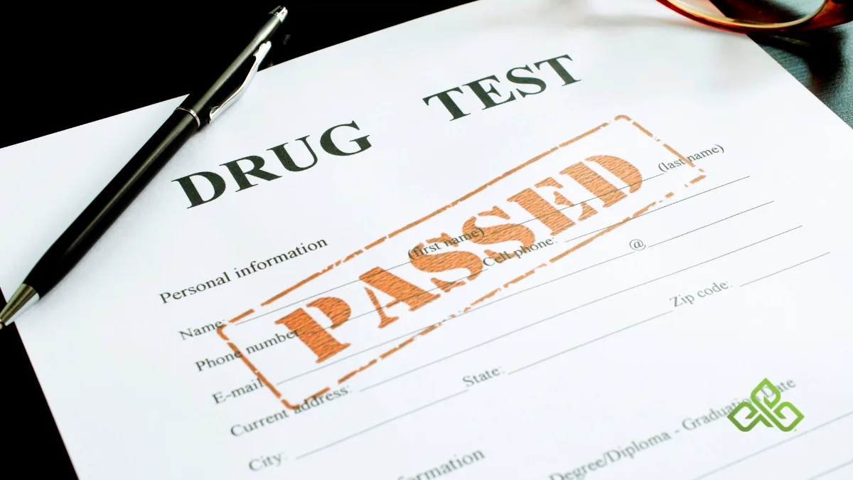 Does CBD Show Up on a Drug Test? What Research Shows