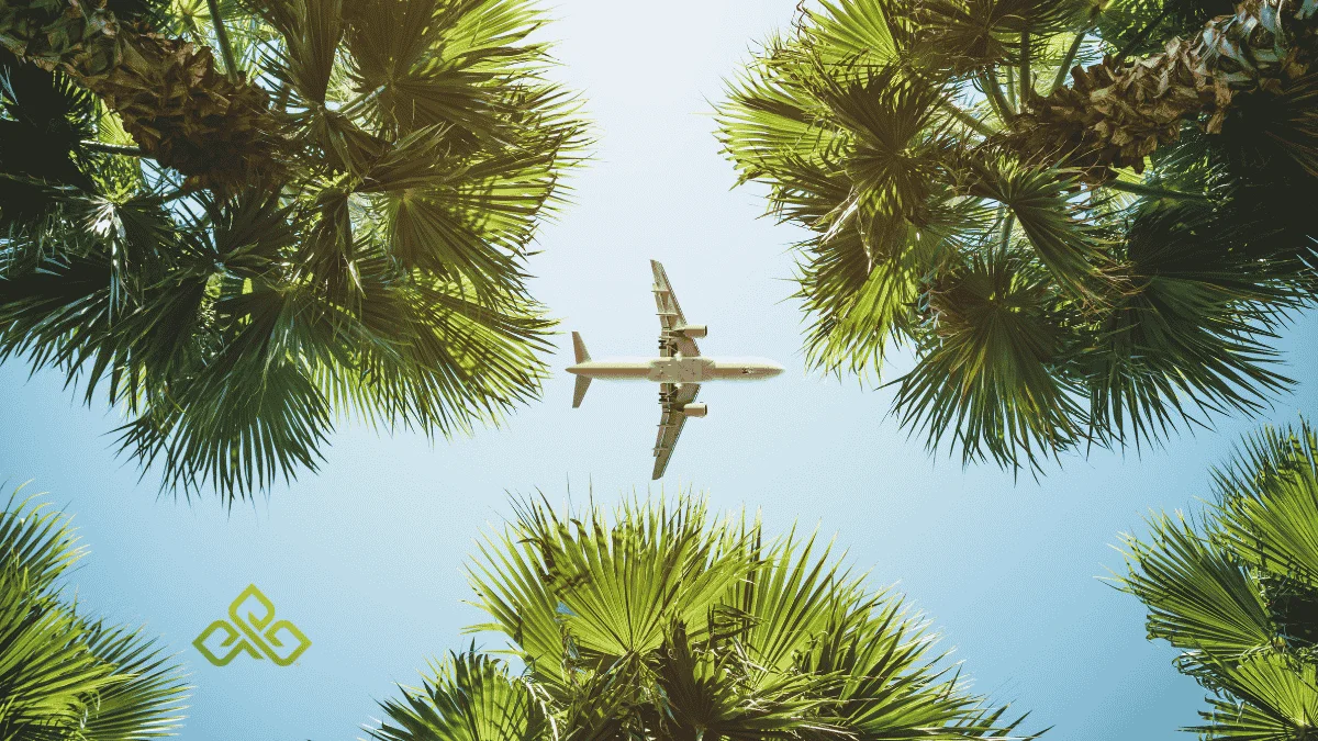 Florida Medical Marijuana Card for Seasonal Residents: A Snowbird's Guide