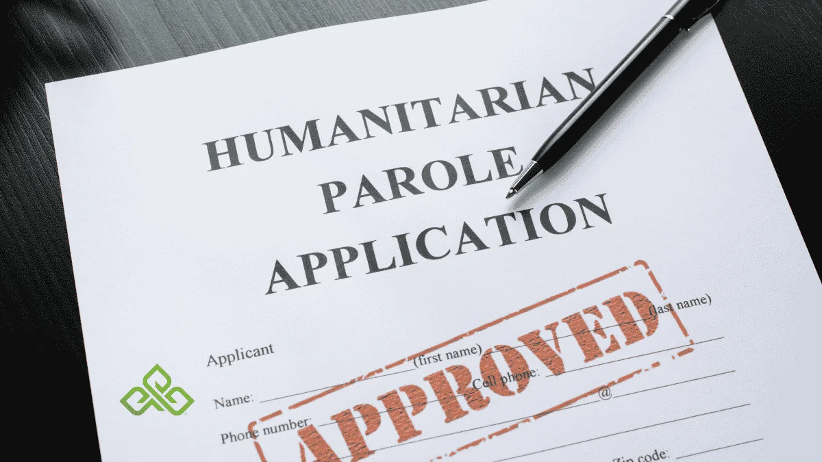 Probation and Medical Marijuana Card: Why a State Card Does Not Shield You