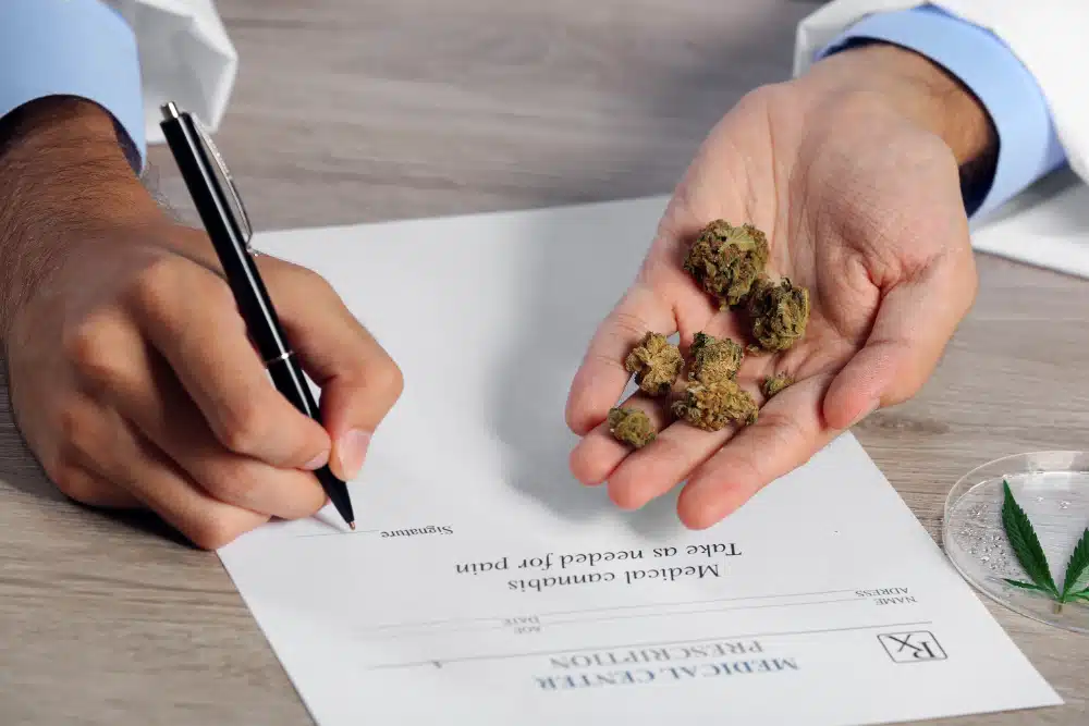 Doctor Writing Script while holding cannabis flower