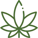 Green Icon of a Cannabis Leaf