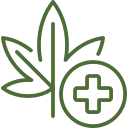 Green Icon of Leaf and Pill