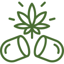 PERSONALIZED CANNABIS CARE