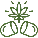 Green Icon of  Pill Breaking Open to a Cannabis Leaf